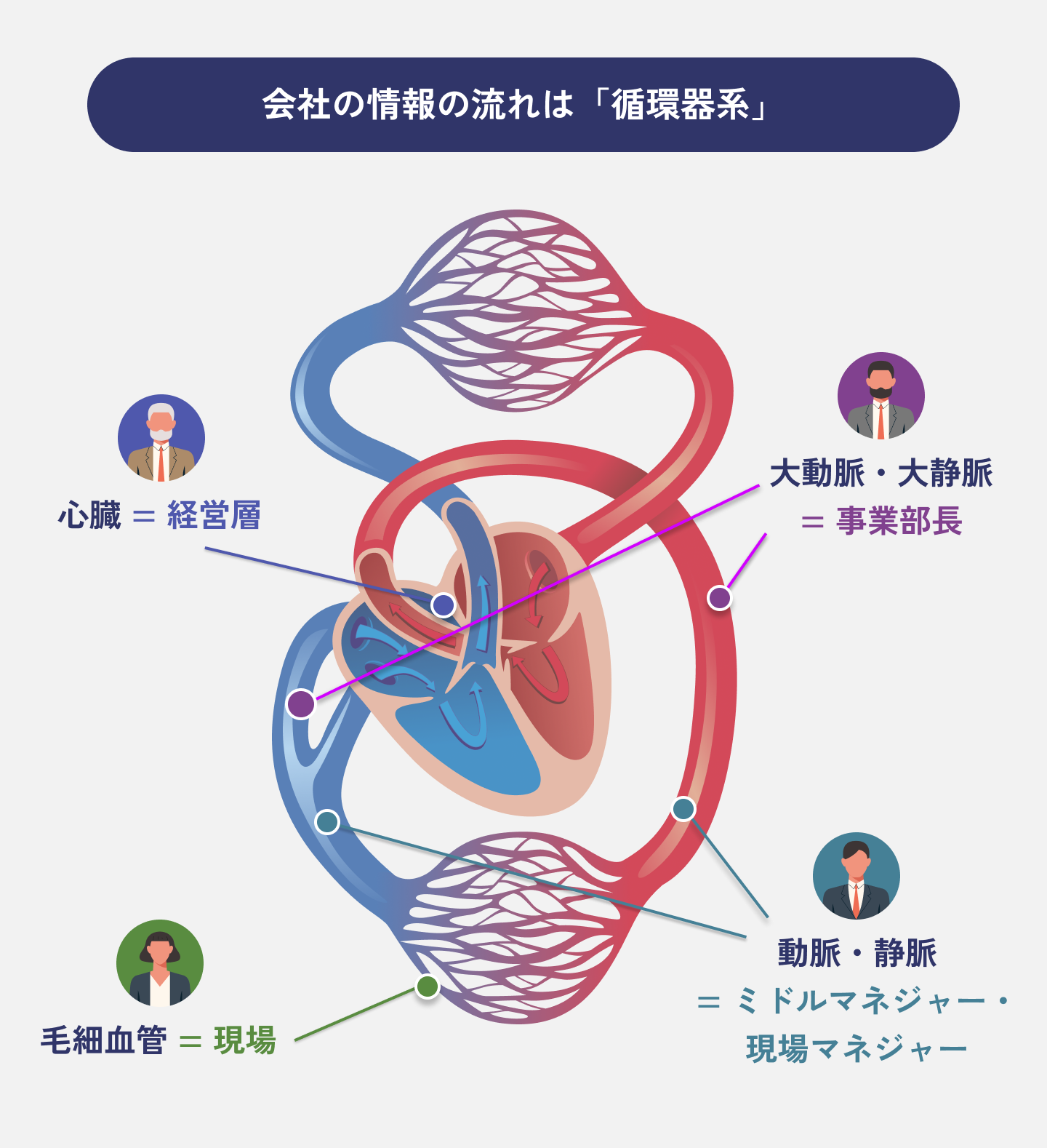会社の情報の流れは「循環器系」