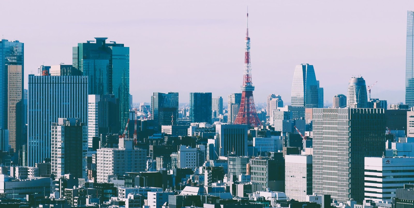 日本の伝統的企業(JTC)に根付く単線キャリアパス